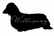 Willipaws Dachshunds - Home
